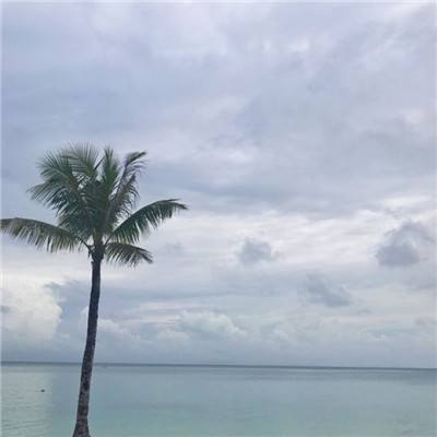 山海异兽诀游戏下载